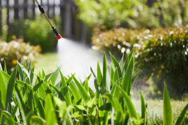 24/7 Emergency Mosquito Control experts in Bridgeport, PA